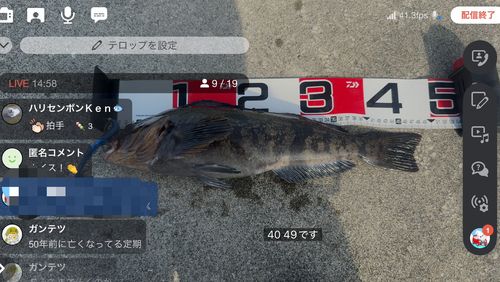 アイナメ