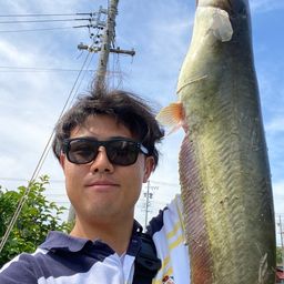 ナマズ