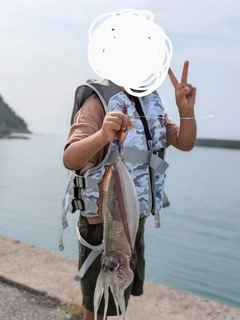 モンゴウイカの釣果