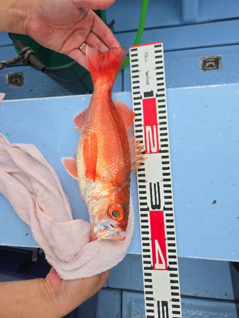 直正丸　釣果さんの釣果 1枚目の画像