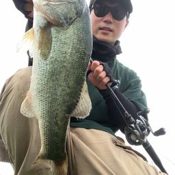 ブラックバス