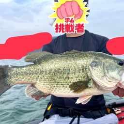 ブラックバス