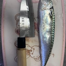 アジ
