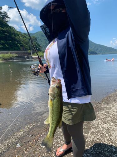 ラージマウスバスの釣果