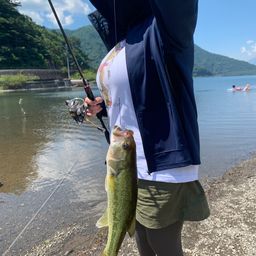 ラージマウスバス