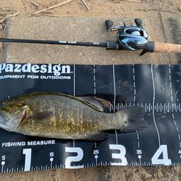 スモールマウスバス