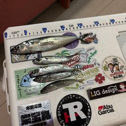 サバ