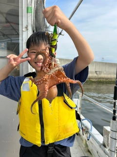 タコの釣果
