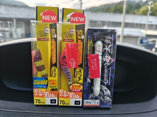 スルメイカの釣果