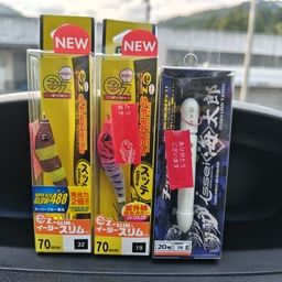 スルメイカ
