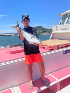ワラサの釣果