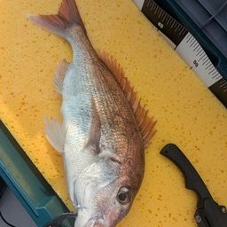 タイ