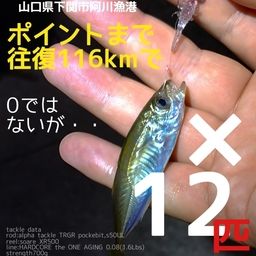 アジ