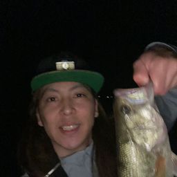 ブラックバス