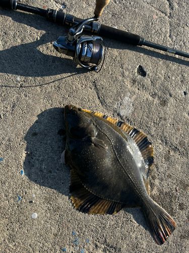 釣果