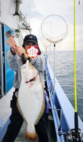 ヒラメの釣果