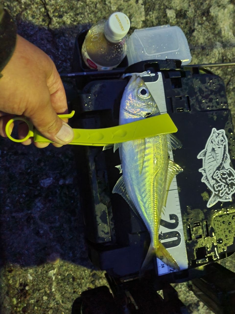 Major Craft 鯵道5G S582L S622M 2本セット Major Craft メジャークラフト 鯵道5G AD5-S622M/AJI Mシリーズ
