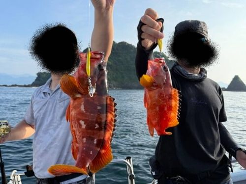 アカハタの釣果