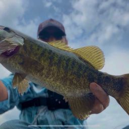 スモールマウスバス