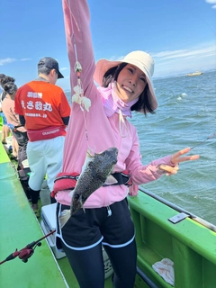ショウサイフグの釣果