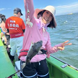 ショウサイフグ