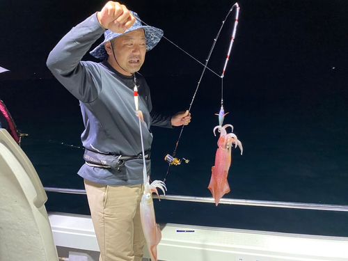 ケンサキイカの釣果