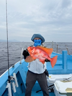 チカメキントキの釣果