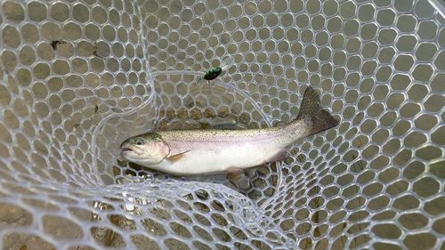 神室フィッシャーマンズロッジ