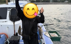 イサキの釣果