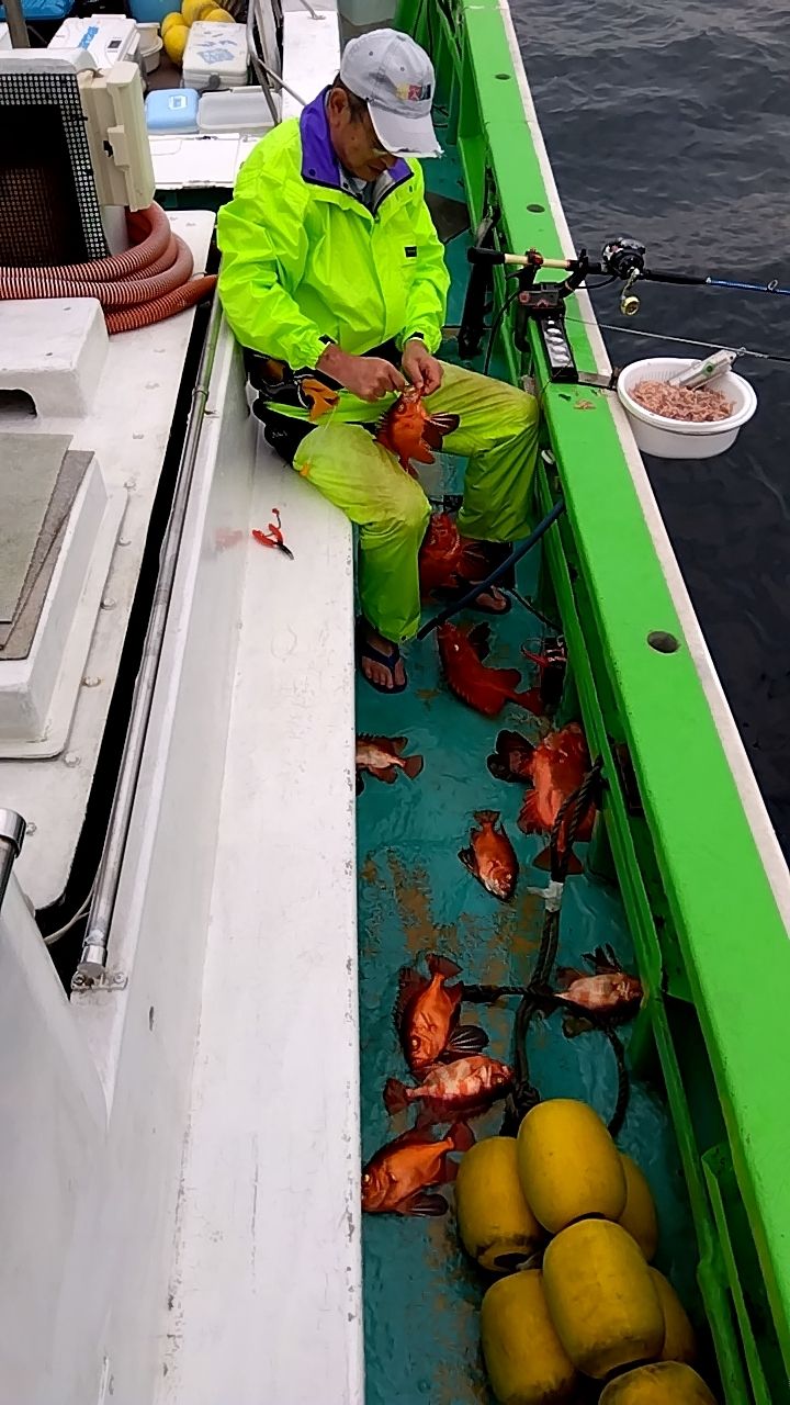 せどおと丸さんの釣果 2枚目の画像