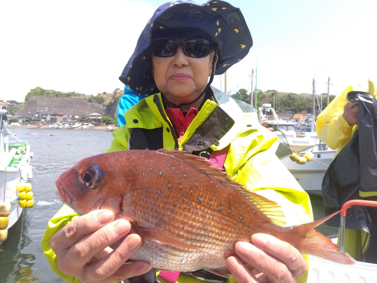 せどおと丸さんの釣果 2枚目の画像