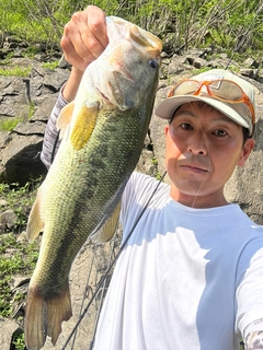 ラージマウスバスの釣果