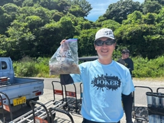 マルイカの釣果