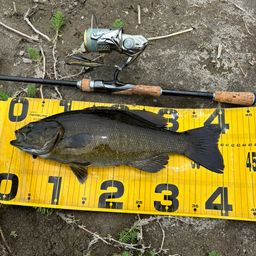 スモールマウスバス