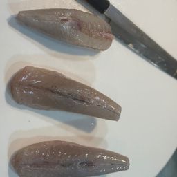 ショウサイフグ