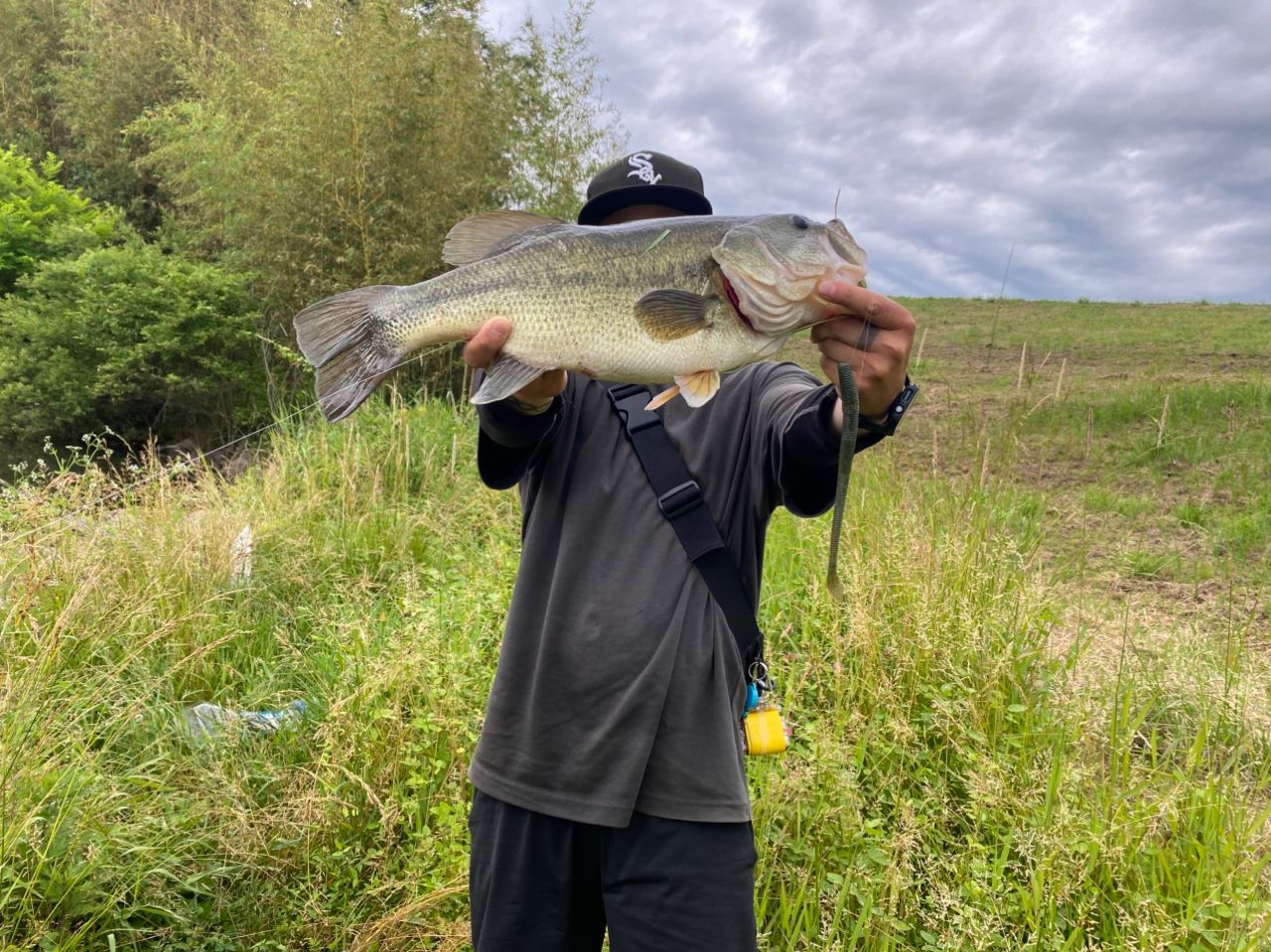 ラージマウスバス