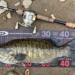 スモールマウスバス