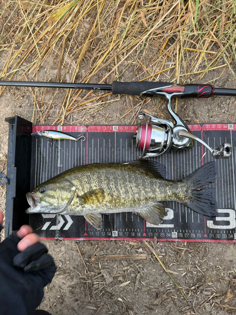 スモールマウスバス