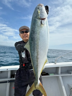 ワラサの釣果