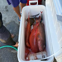 アカジンミーバイ