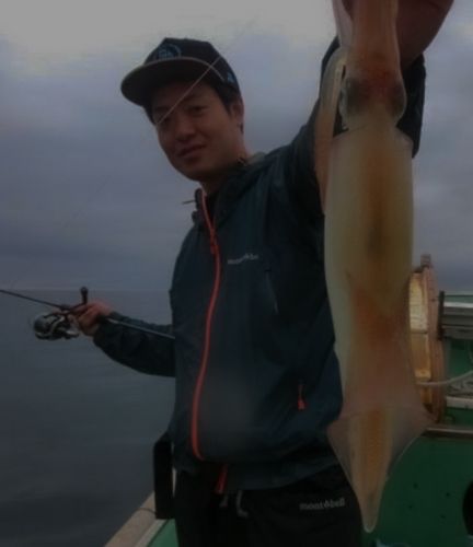 ケンサキイカの釣果