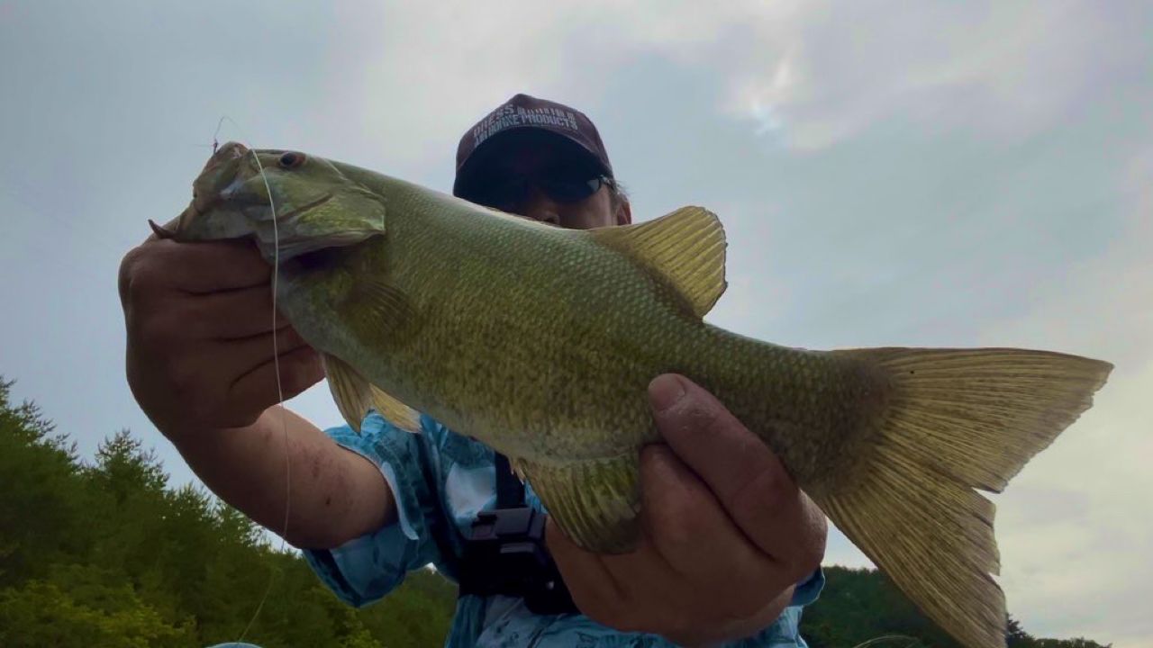 スモールマウスバス