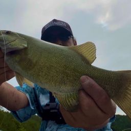 スモールマウスバス