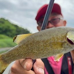 スモールマウスバス