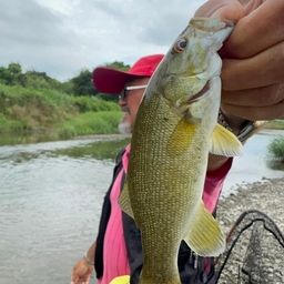 スモールマウスバス