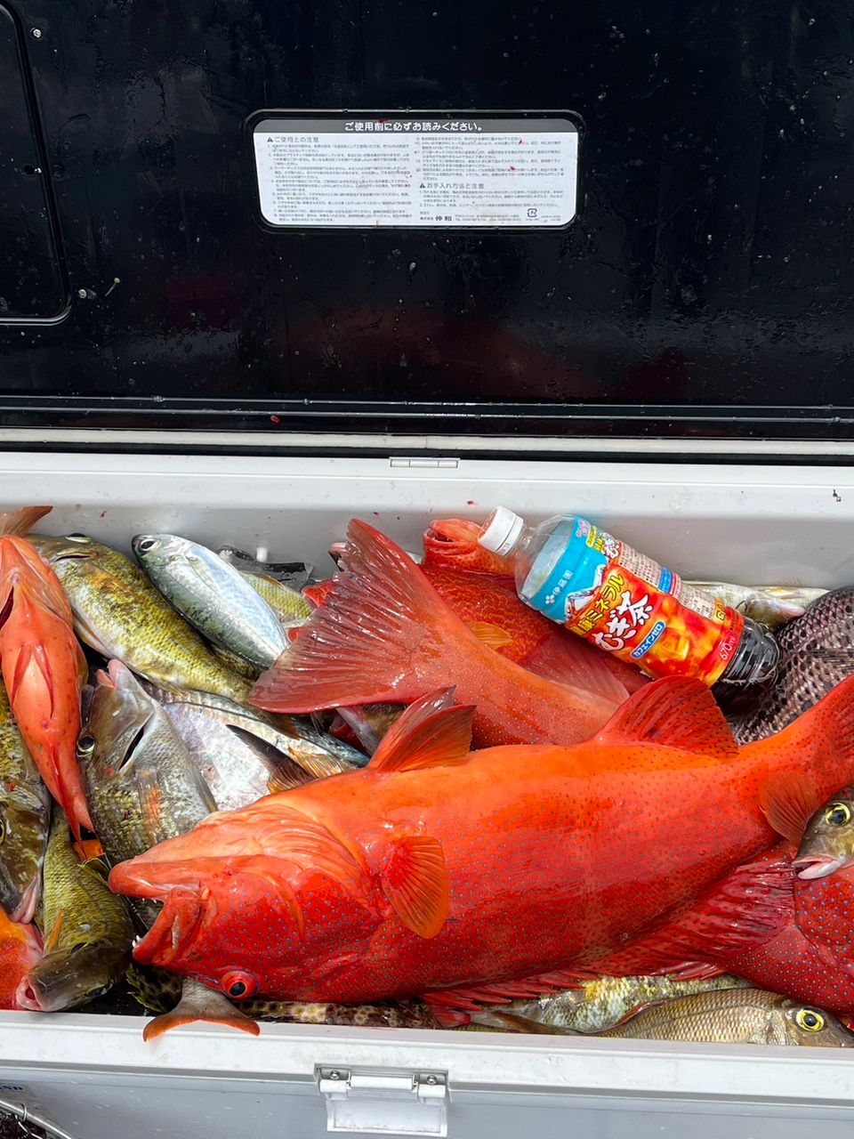 アカジンミーバイ