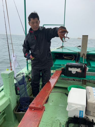 タコの釣果