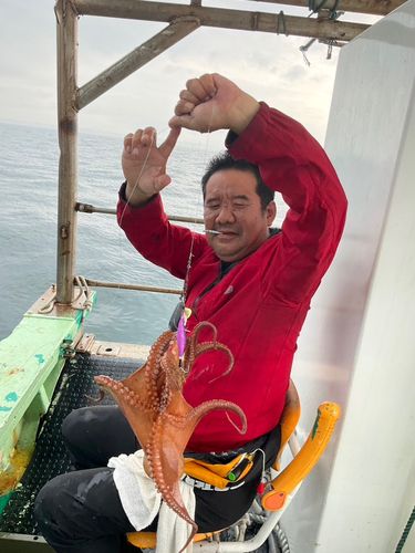 タコの釣果