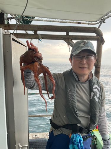タコの釣果