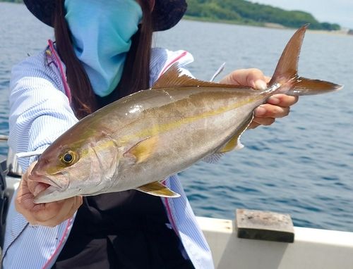 ネリゴの釣果